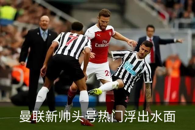 曼联新帅头号热门浮出水面